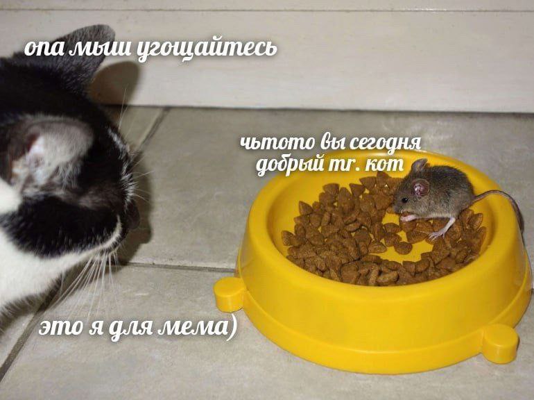 IMG_2690.jpeg