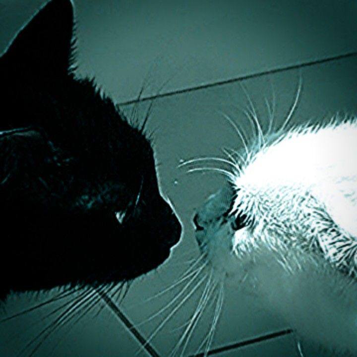 IMG_2692.jpeg