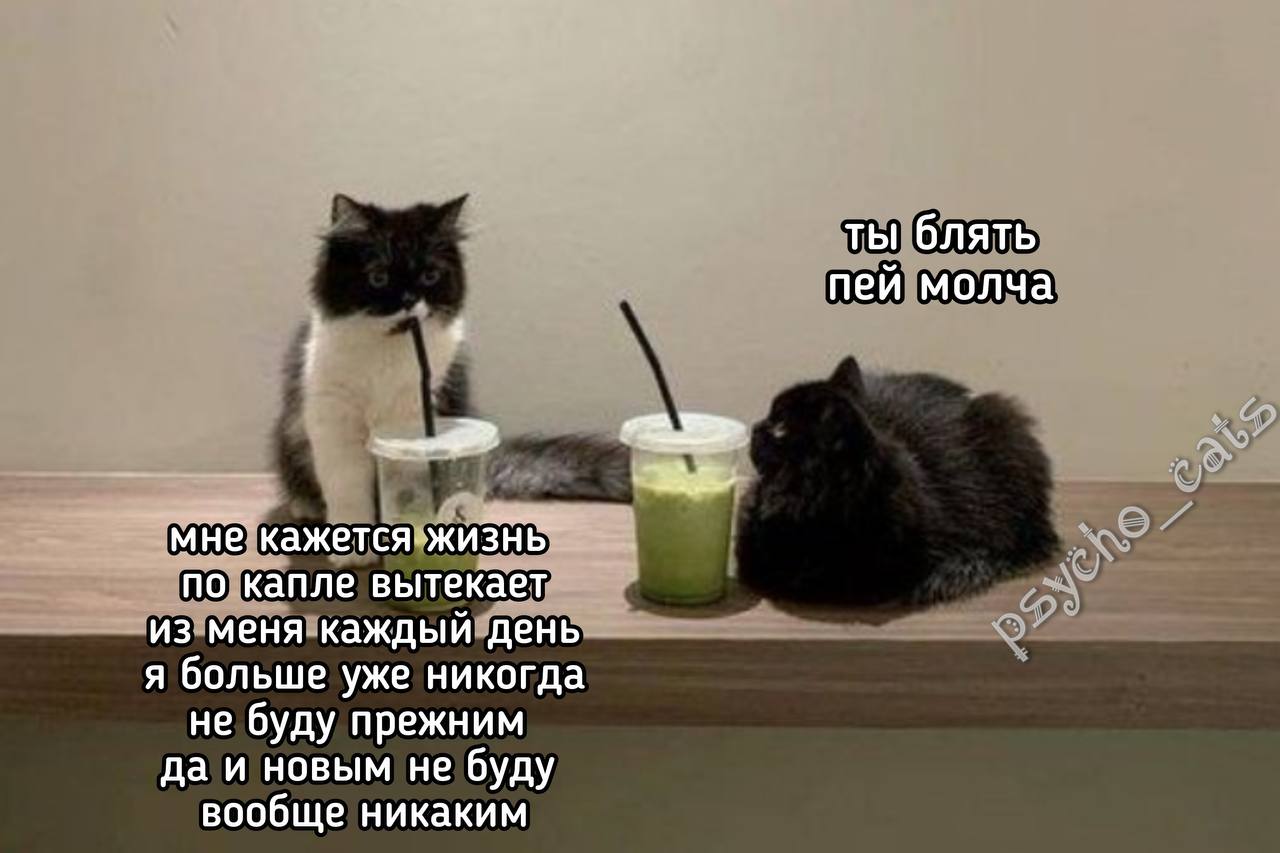 IMG_2701.jpeg