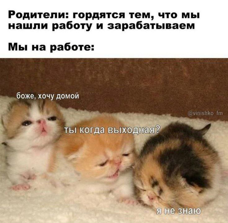 IMG_2702.jpeg