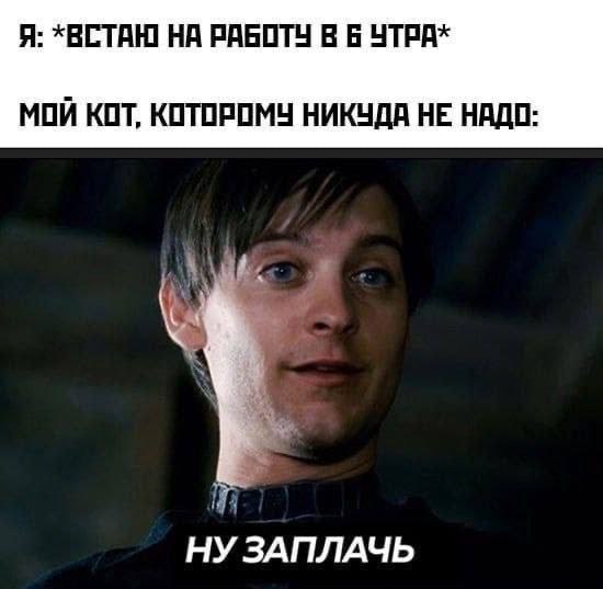 IMG_2705.jpeg