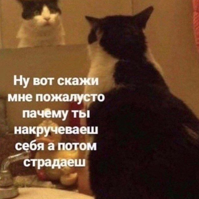 IMG_2734.jpeg