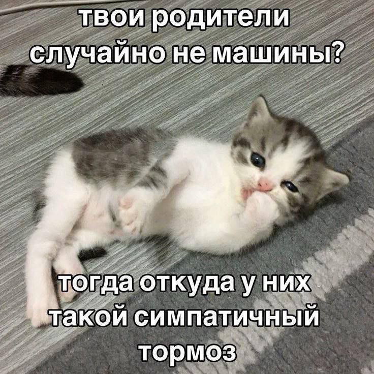 IMG_2737.jpeg