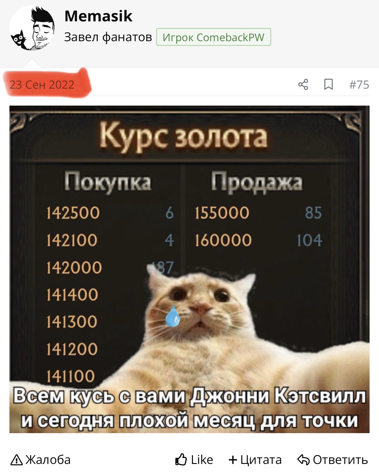 IMG_2739.jpeg