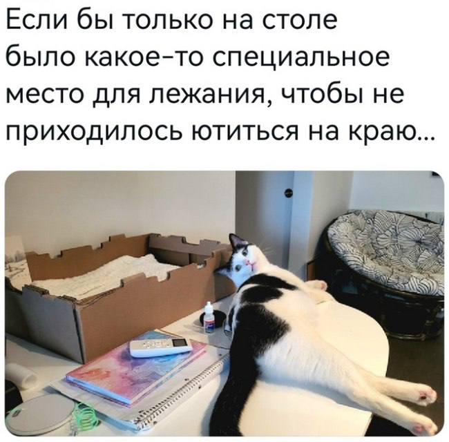 IMG_2763.jpeg