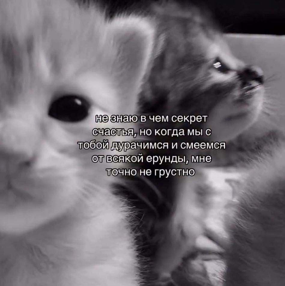 IMG_2767.jpeg