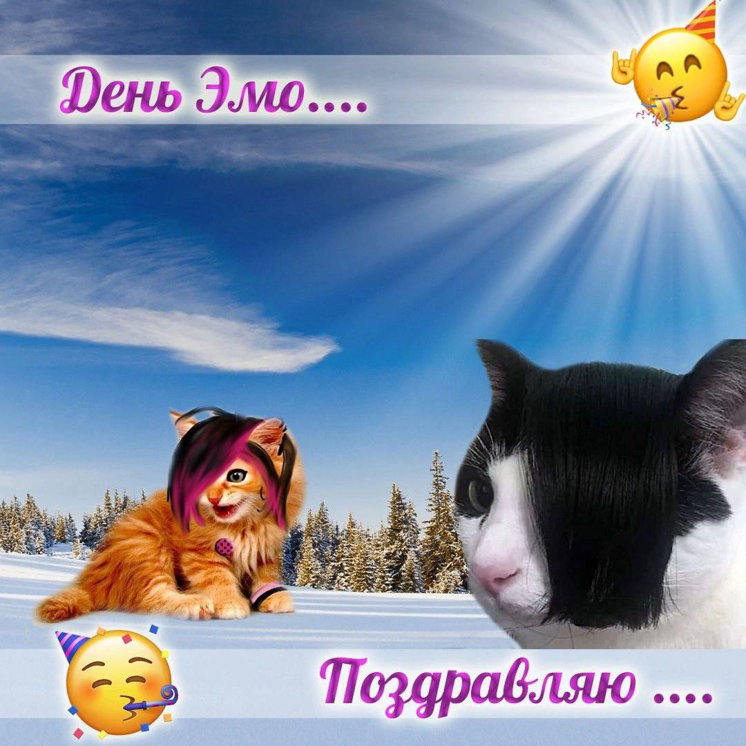 IMG_2770.jpeg