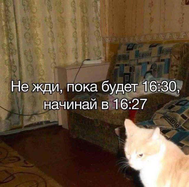 IMG_2787.jpeg