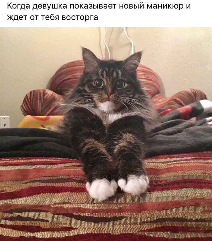 IMG_2806.jpeg