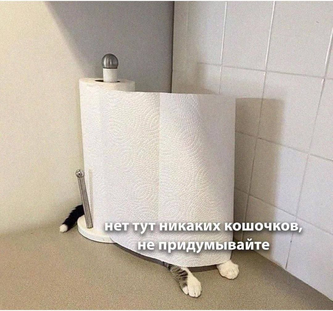 IMG_2808.jpeg