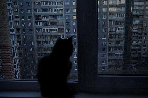 IMG_2814.jpeg