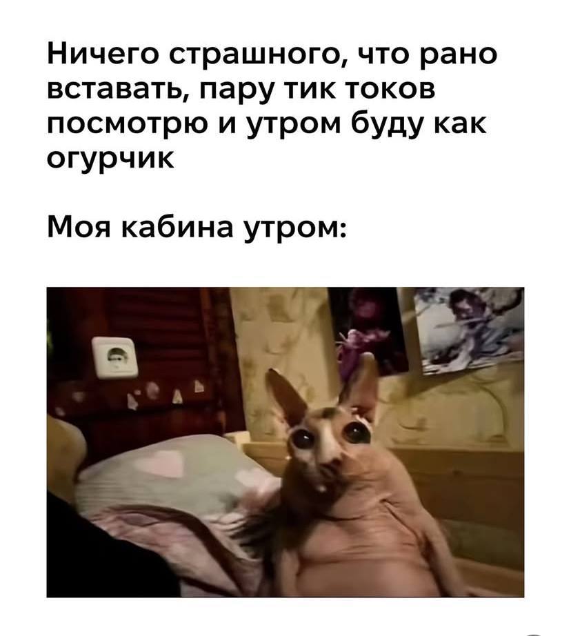 IMG_2819.jpeg