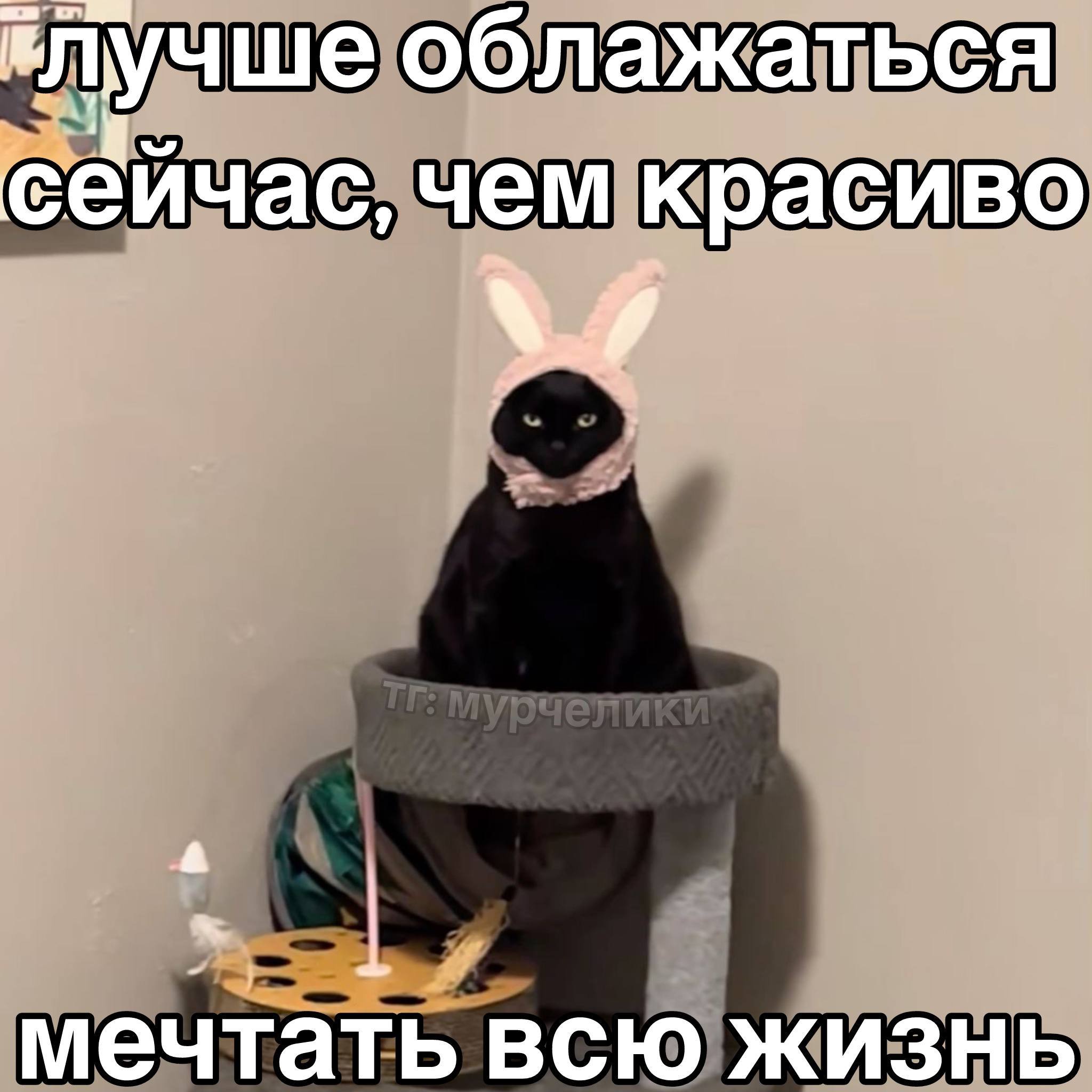 IMG_2822.jpeg