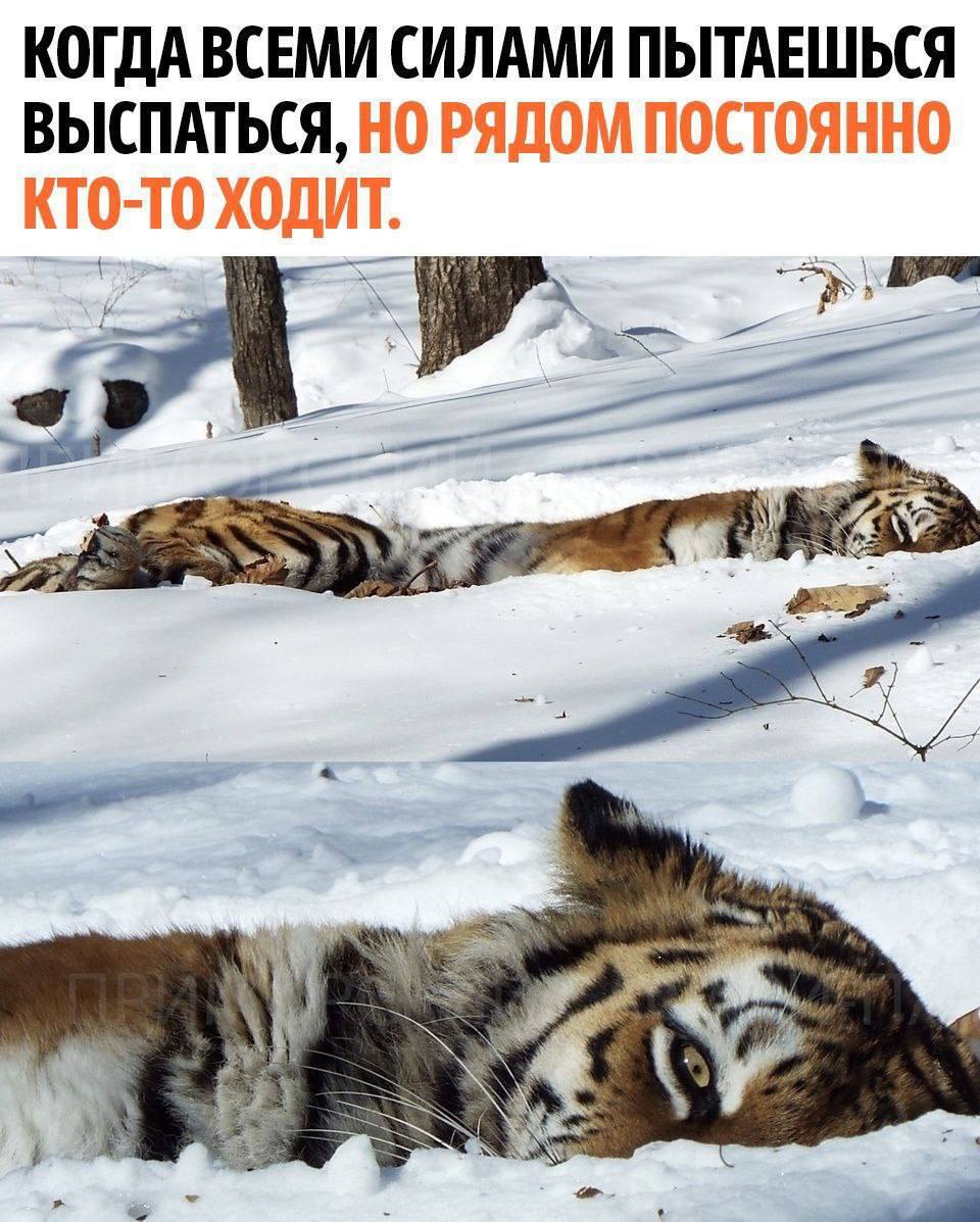 IMG_2823.jpeg