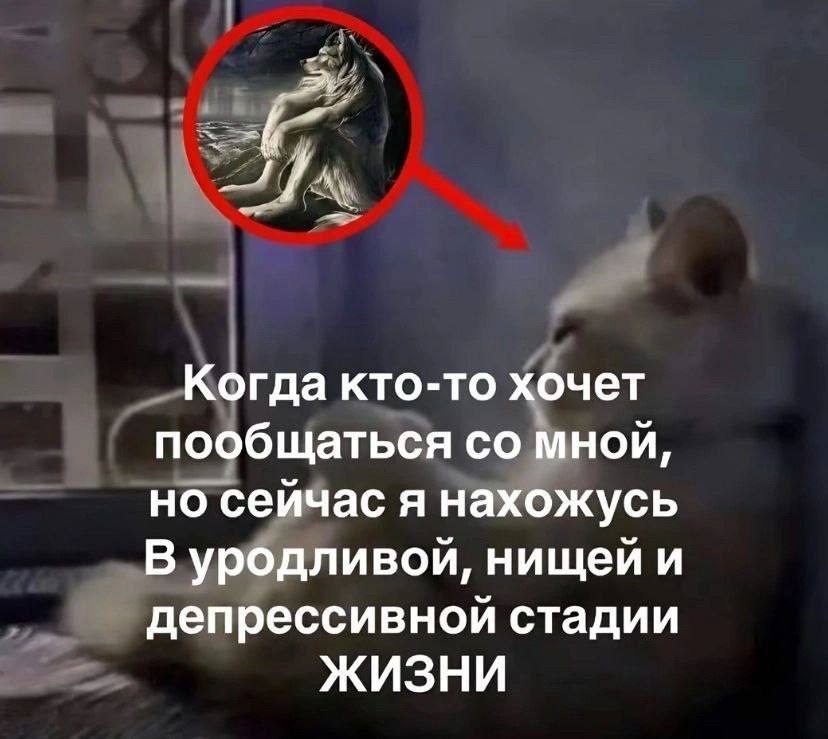 IMG_2824.jpeg