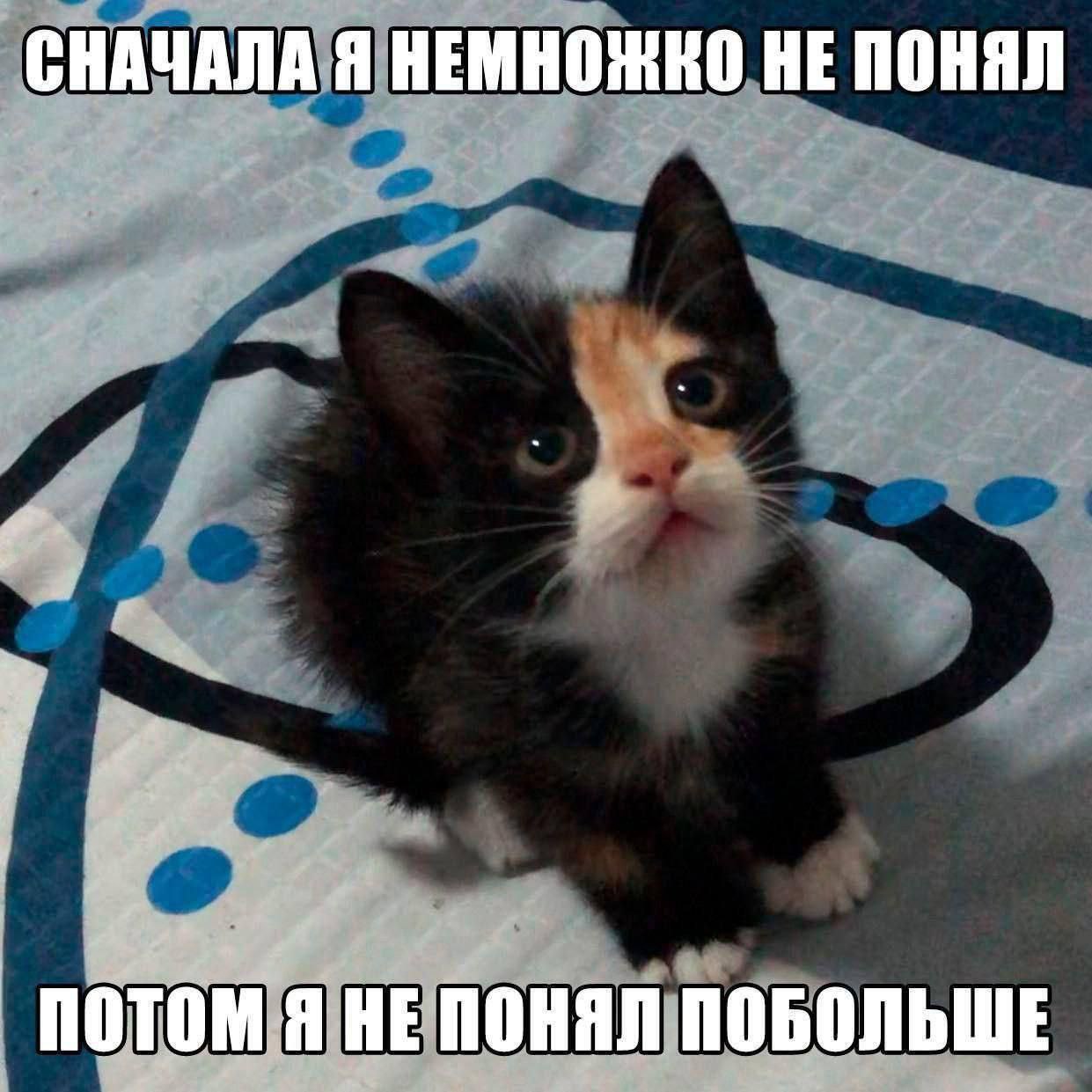 IMG_2850.jpeg
