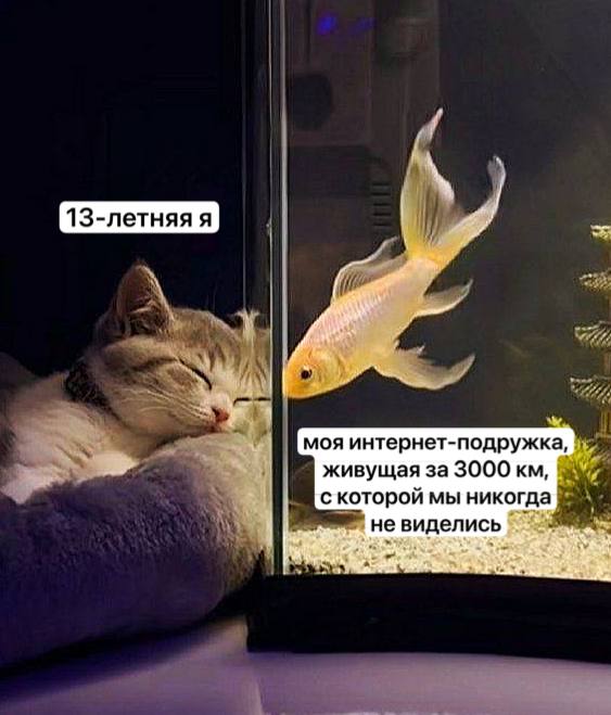 IMG_2860.jpeg