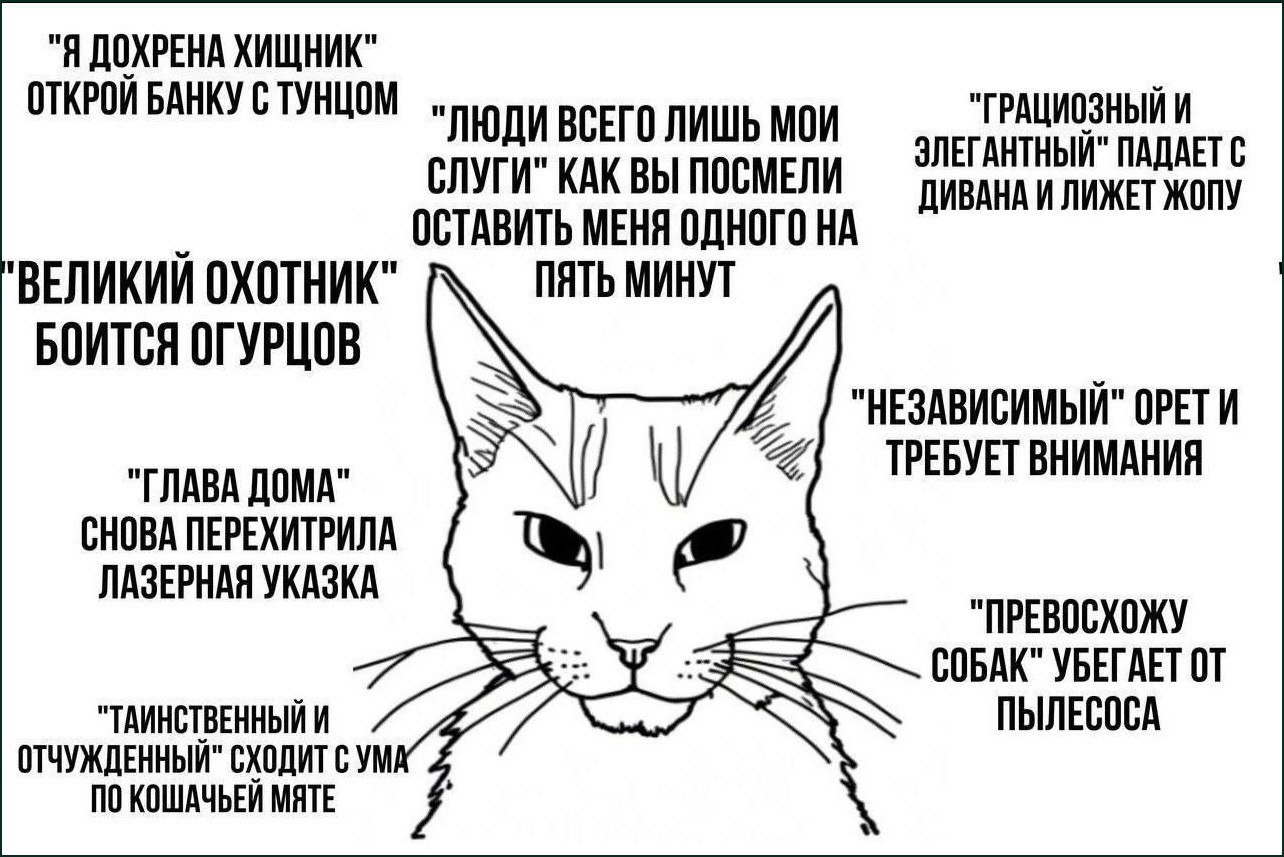 IMG_2862.jpeg