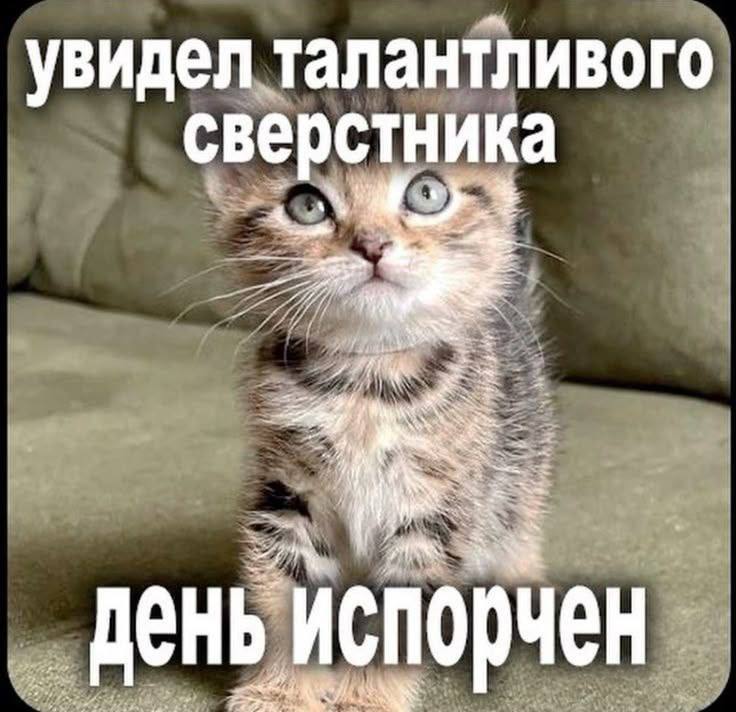 IMG_2866.jpeg