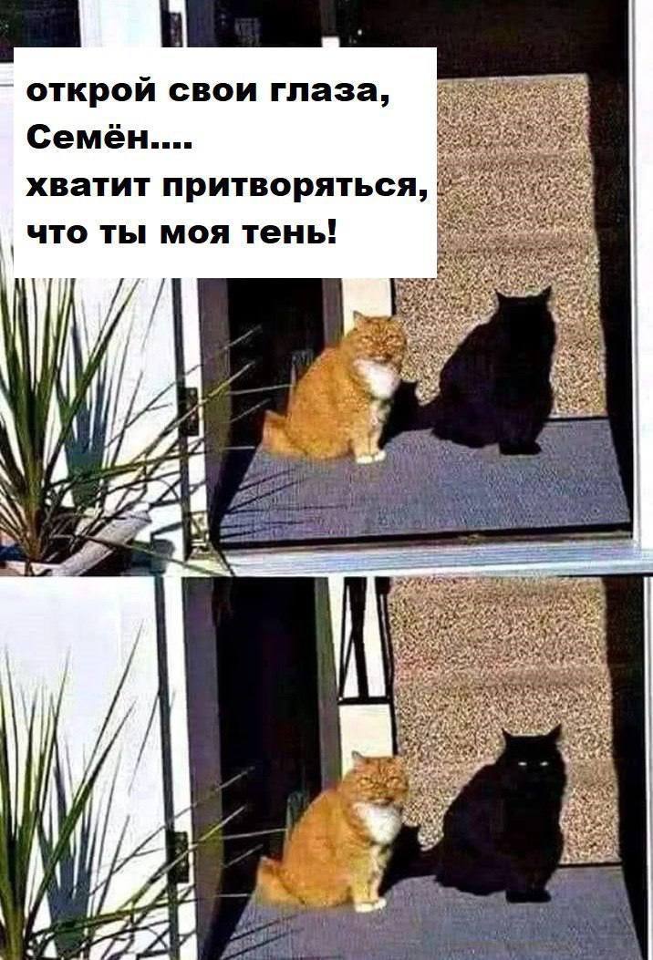 IMG_2879.jpeg