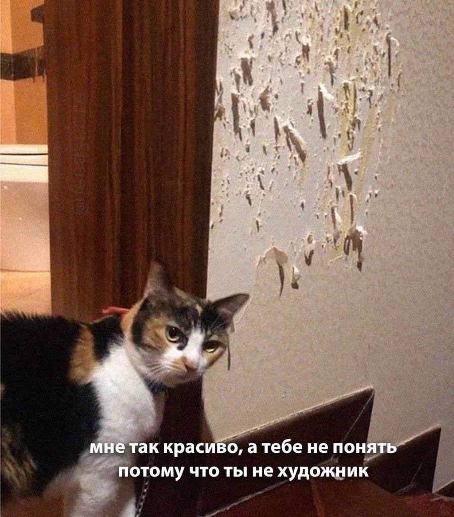 IMG_2880.jpeg