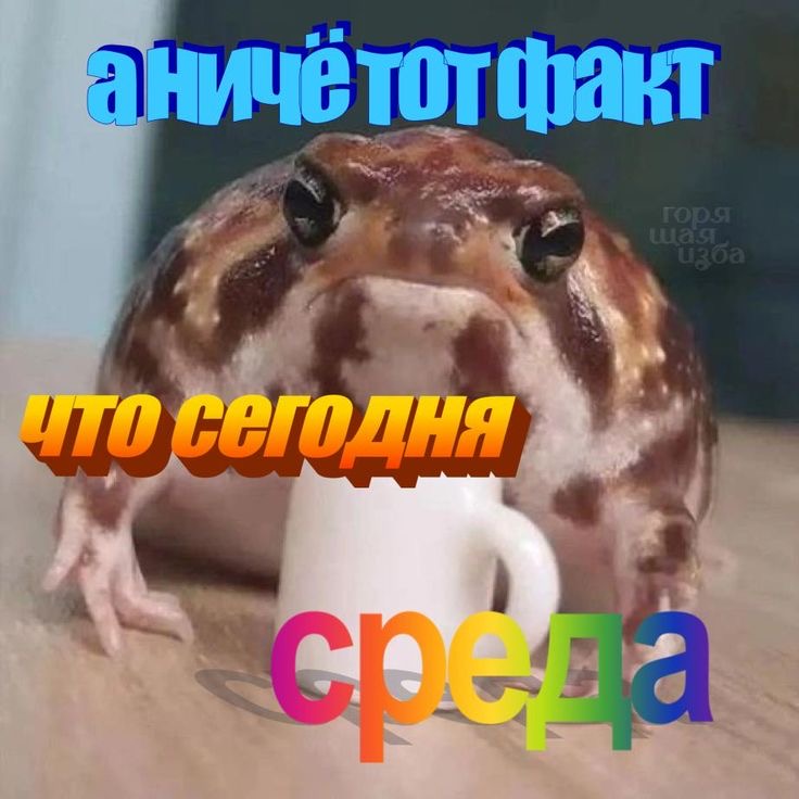 IMG_2952.jpeg