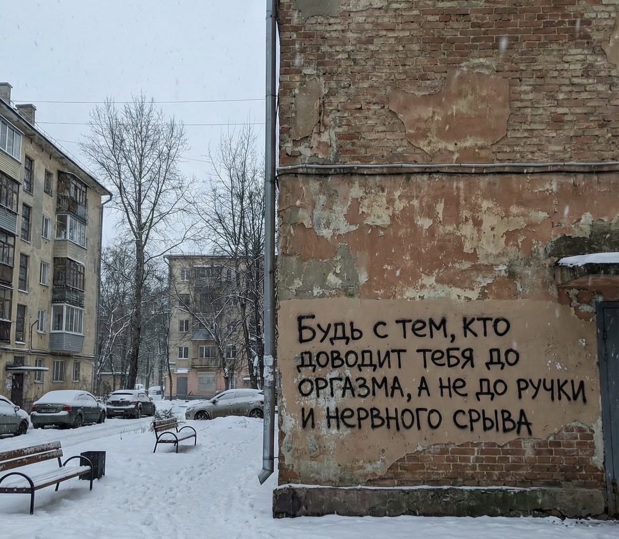 IMG_2959.jpeg