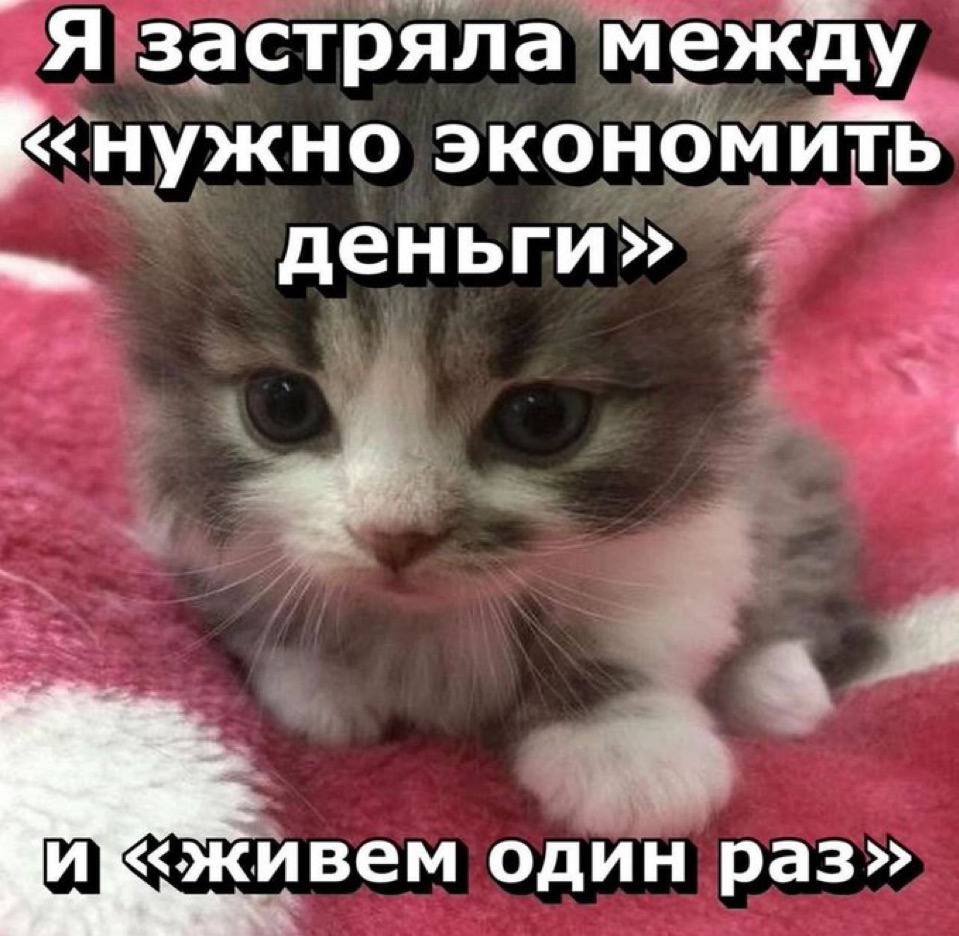 IMG_2967.jpeg
