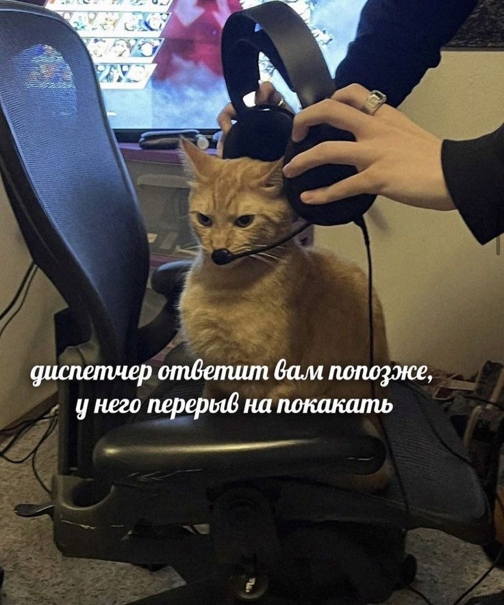 IMG_2968.jpeg