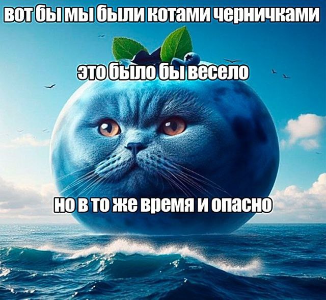 IMG_2968.jpeg