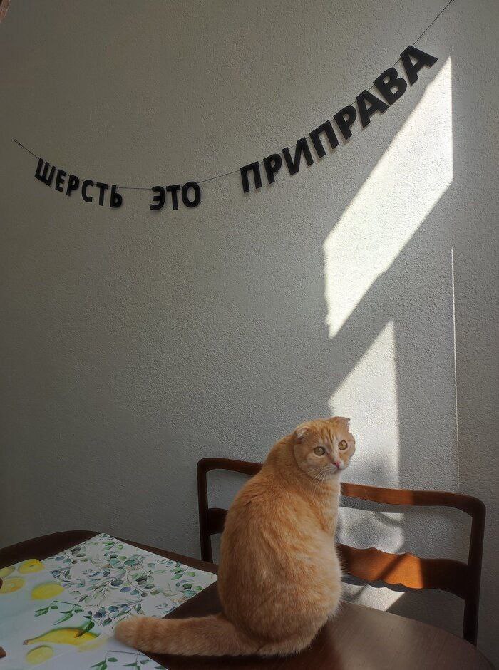 IMG_2969.jpeg