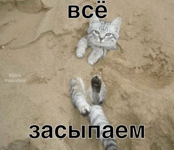 IMG_2978.jpeg