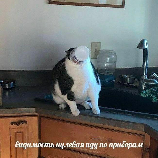 IMG_2991.jpeg