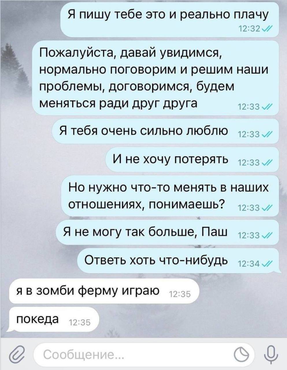 IMG_2992.jpeg
