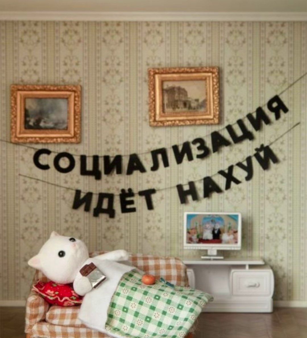 IMG_2993.jpeg