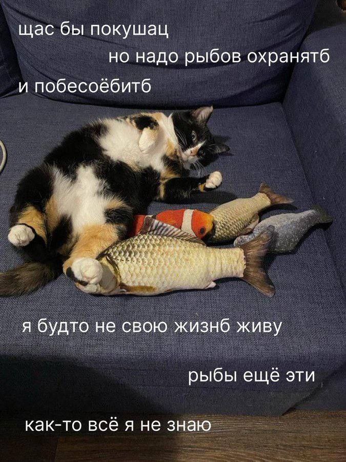 IMG_3001.jpeg