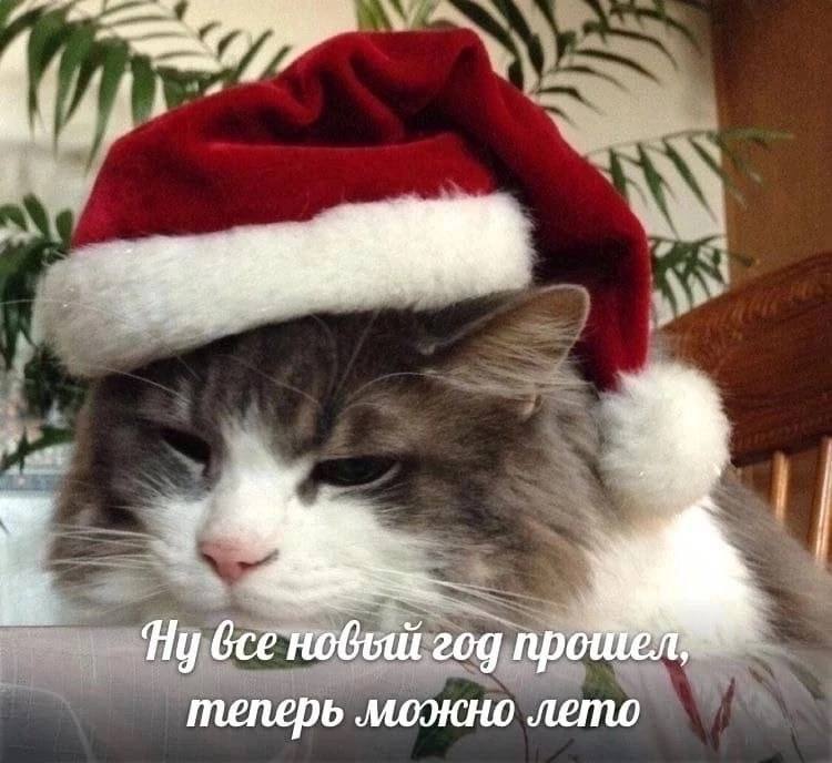 IMG_3004.jpeg