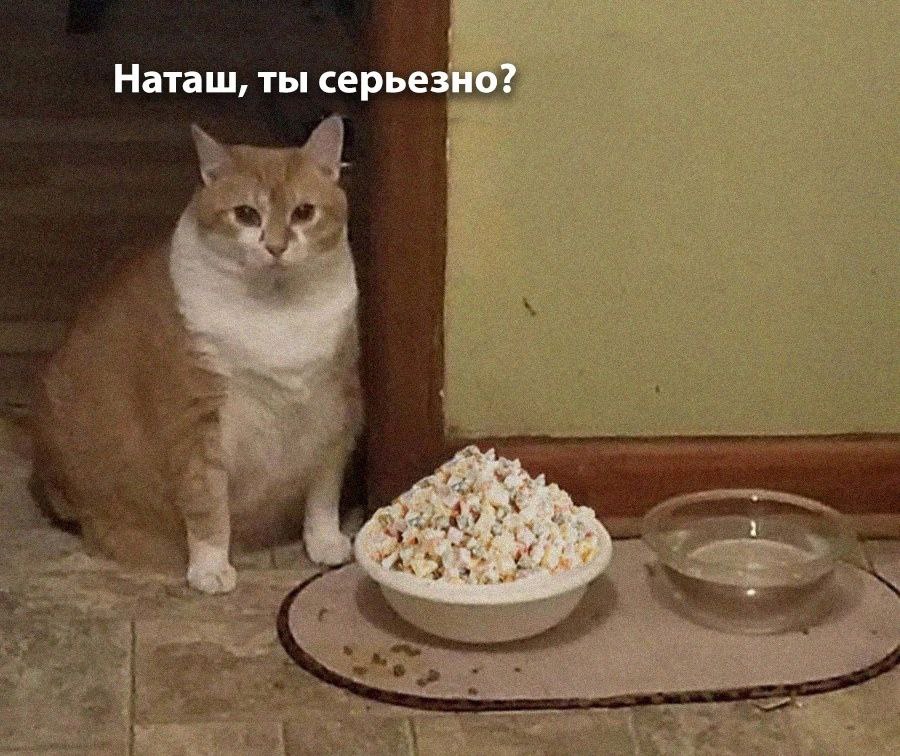 IMG_3029.jpeg