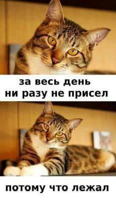 IMG_3034.jpeg