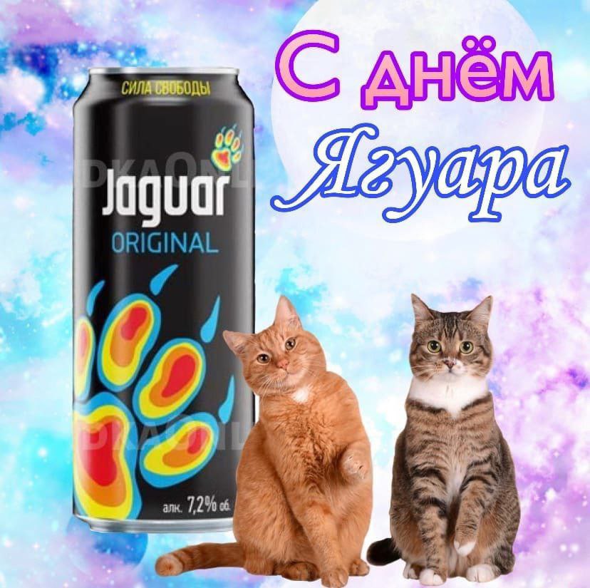 IMG_3088.jpeg