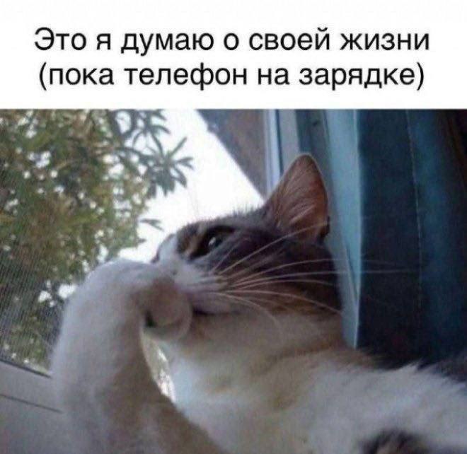 IMG_3090.jpeg
