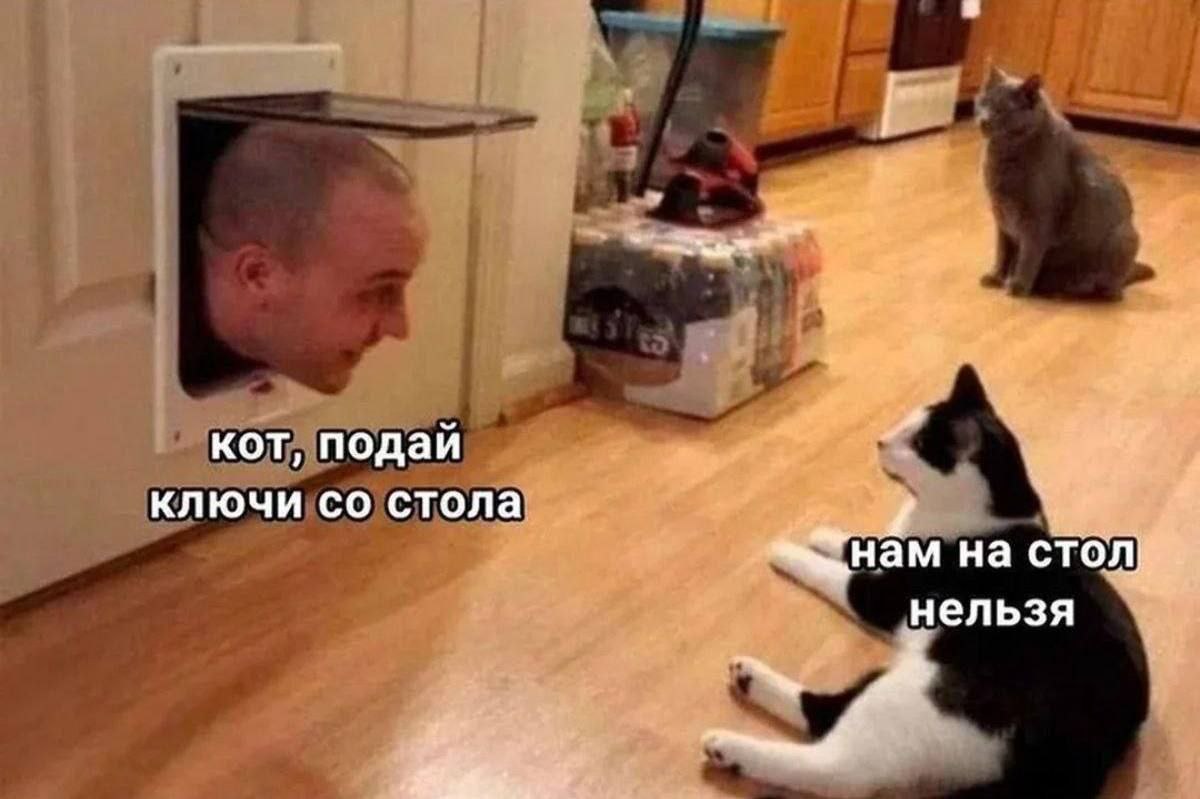 IMG_3107.jpeg