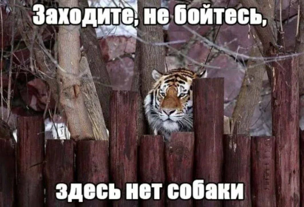 IMG_3129.jpeg