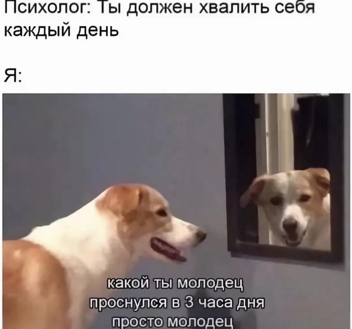 IMG_3134.jpeg