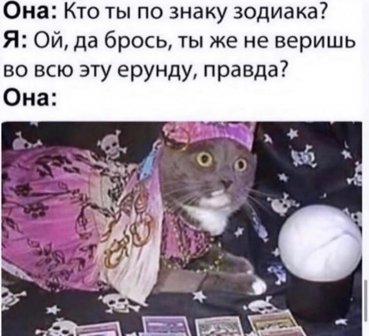 IMG_3135.jpeg
