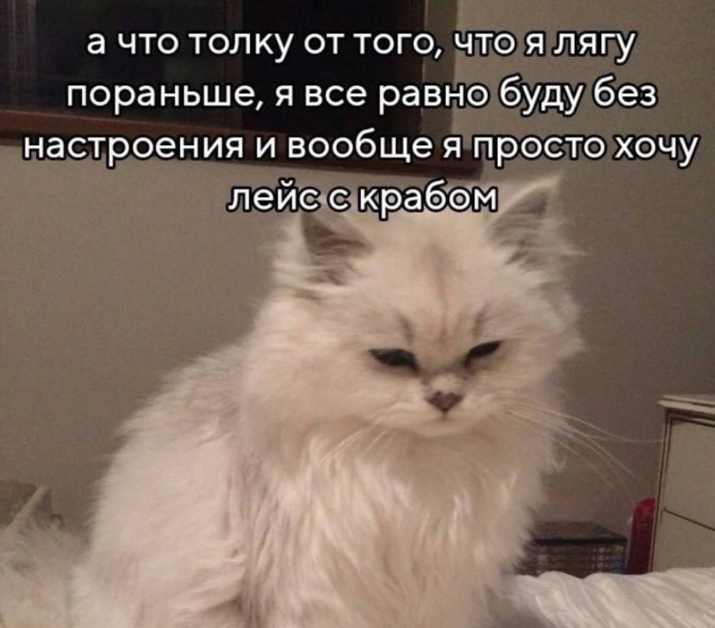 IMG_3142.jpeg