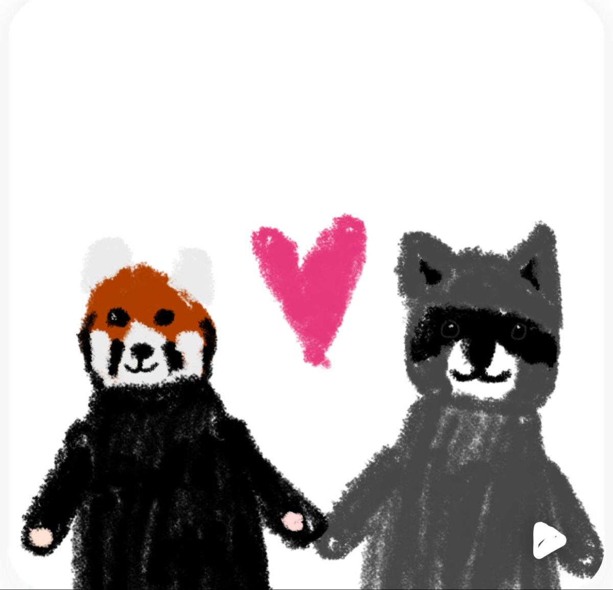 IMG_3143.jpeg