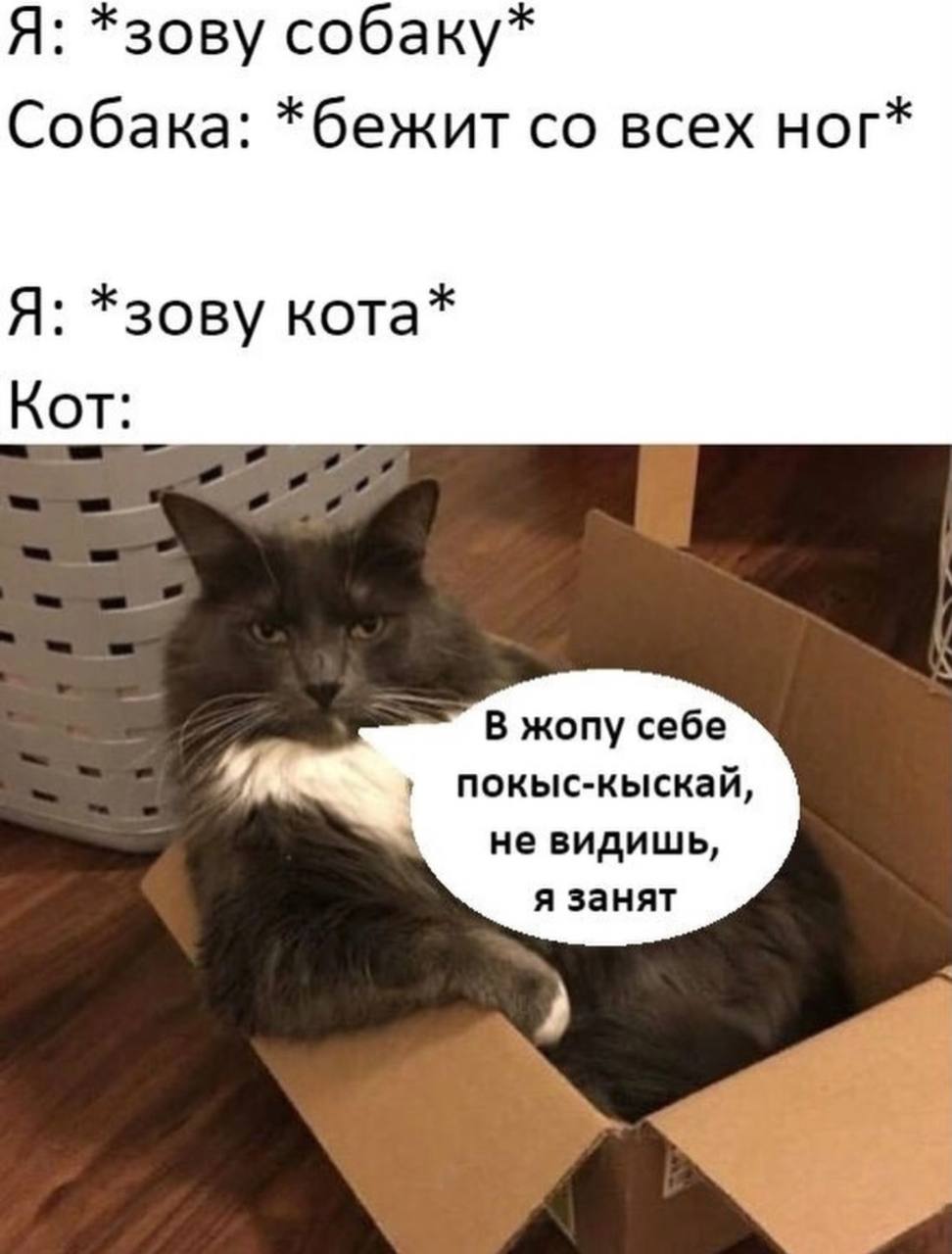 IMG_3146.jpeg