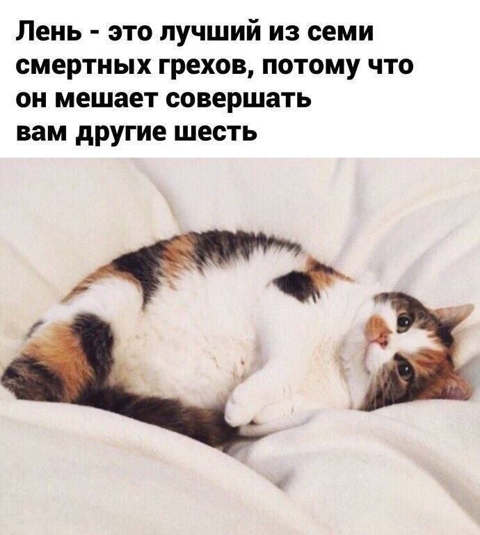 IMG_3164.jpeg