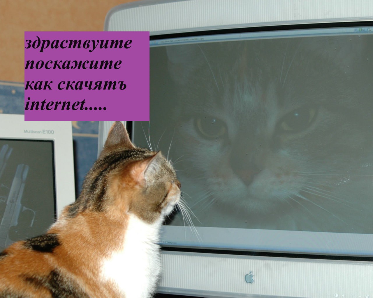 IMG_3168.jpeg